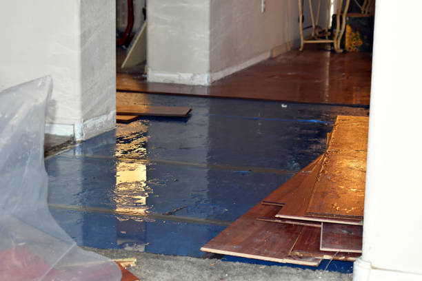 Professional Water Damage technician working in Morton, WA