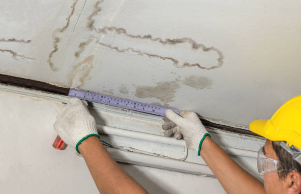 Reliable Water Damage contractor in Morton, WA by Water Damage Irwin